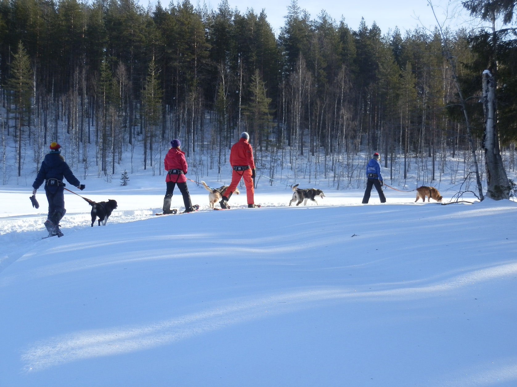 wintertour_huskysnowshoewalk_1