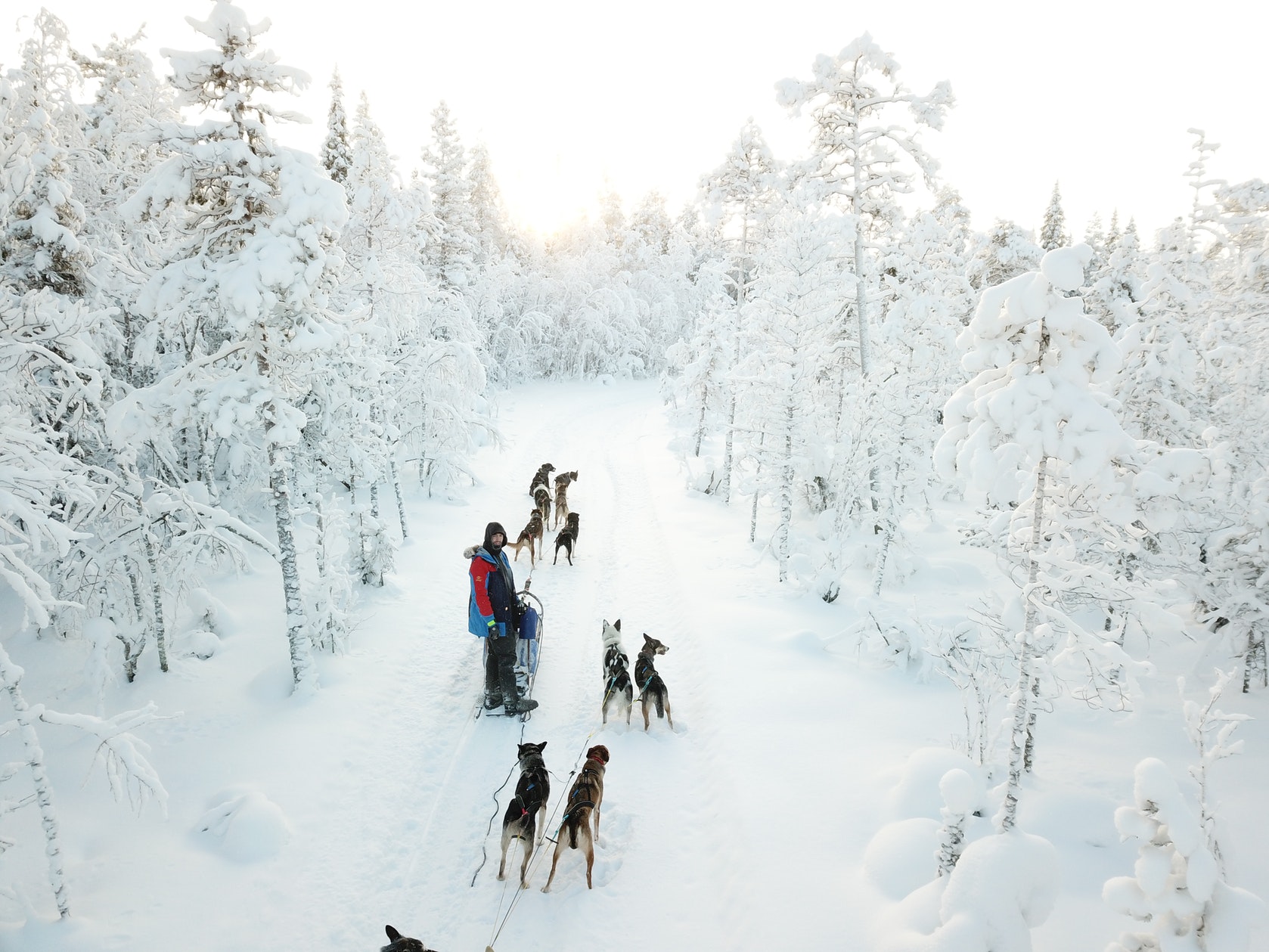 wintertour_huskytour-lunch_1